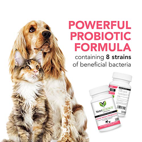 VetriScience Vetri Mega Probiotic and Prebiotic for Dogs and Cats, 180 Capsules - Digestive Relief - Easy to Give Capsules - GI Support - Image 5