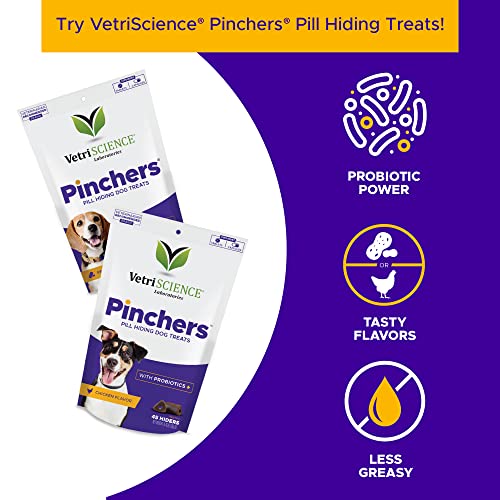 VetriScience Laboratories Cardio Strength, 90 Capsules - Supports Blood Flow, Immune System and Energy Levels for Dogs and Cats - Image 2
